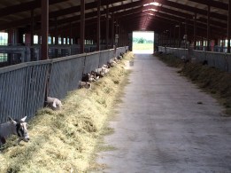 Photo Jul 24, 1 03 49 PM